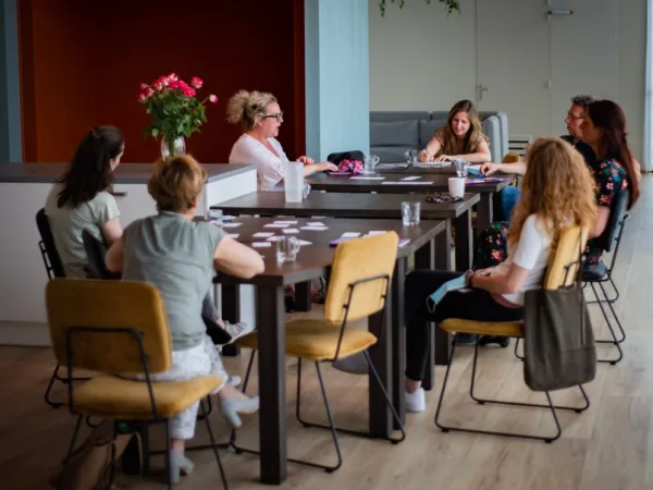 Medezeggenschapsorganen / Visitatie