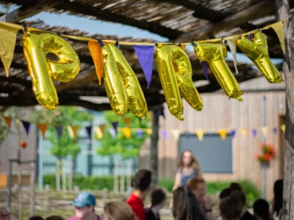 Buro Lima bestaat 13 jaar / Feest