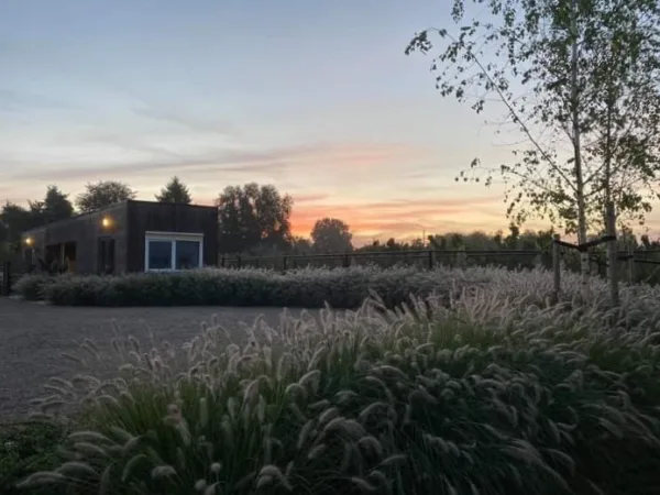 Goedemorgen! / Goedemorgen