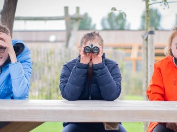 Zoeken, zoeken, zoeken... / Zoeken